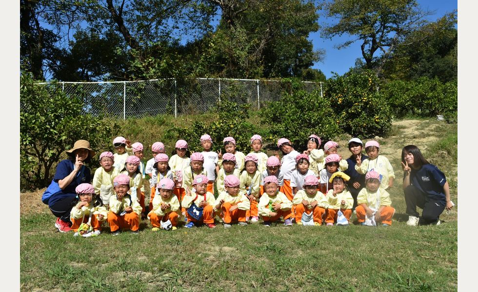 みかんがり　さくら